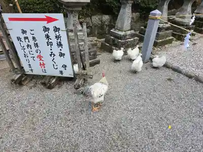石上神宮(奈良県)