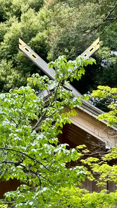 高鴨神社(奈良県)