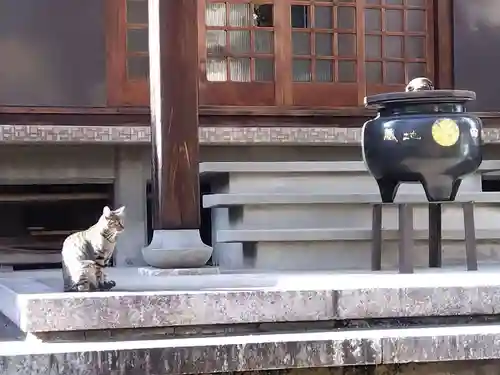 観聴寺(愛知県)