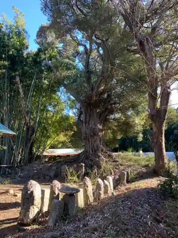 正福寺(千葉県)