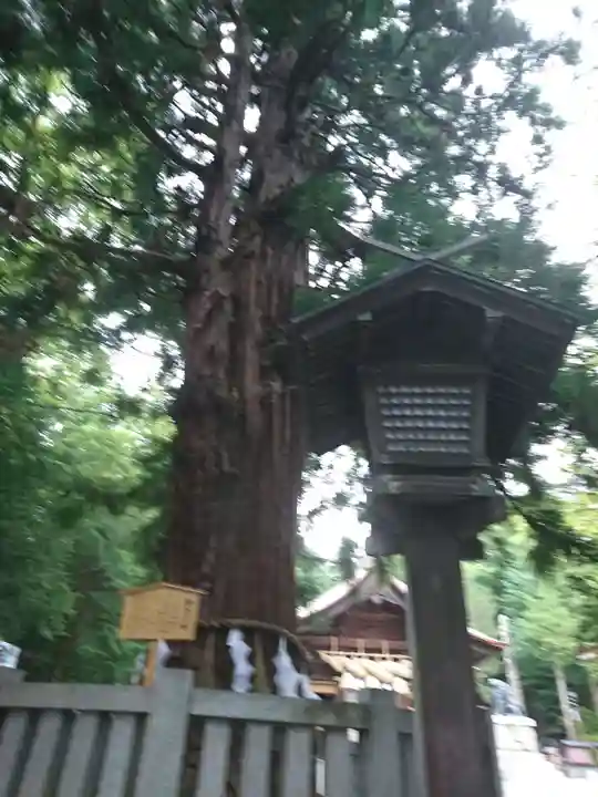 諏訪大社下社秋宮のその他建物