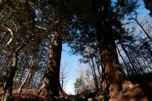 多賀神社の自然