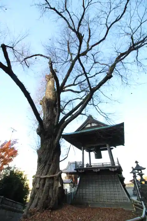 北向観音(長野県)