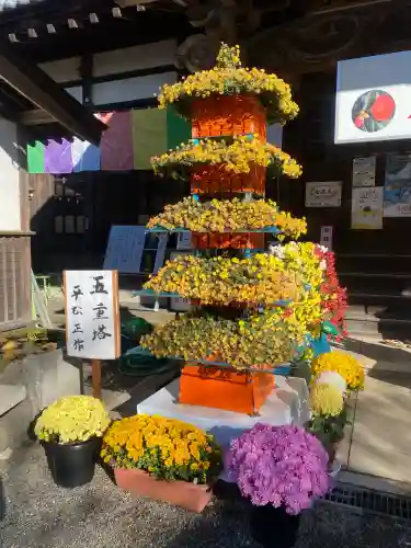 一乗院(身代不動尊) (茨城県)