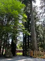 須山浅間神社(静岡県)