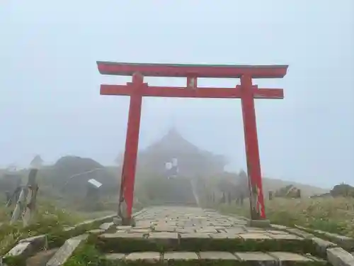 箱根元宮の鳥居