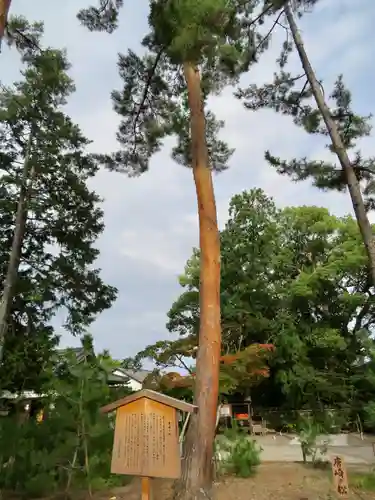 今宮神社の自然