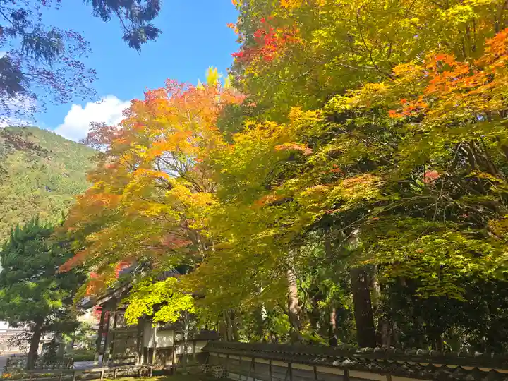 長安寺(京都府)