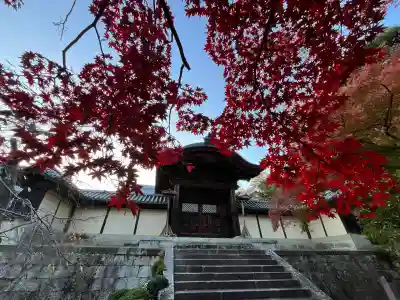 光明寺（粟生光明寺）(京都府)
