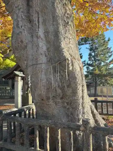 豊田神社(東京都)