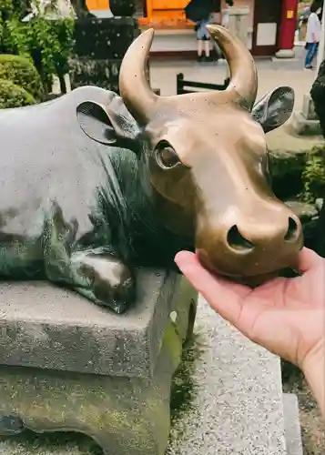 太宰府天満宮の狛犬