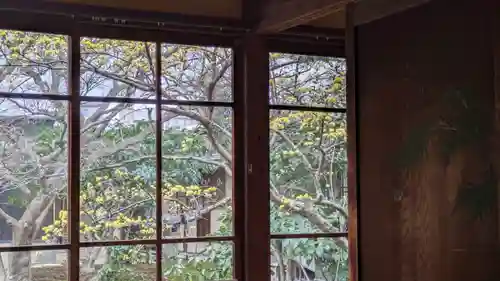 興聖寺(京都府)