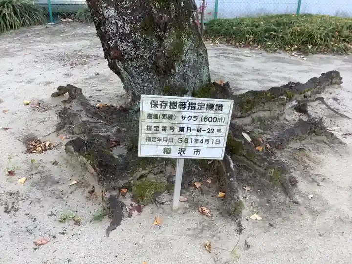 三島社(矢合)の自然