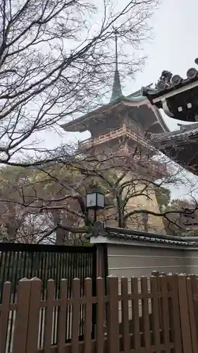 大雲院(京都府)