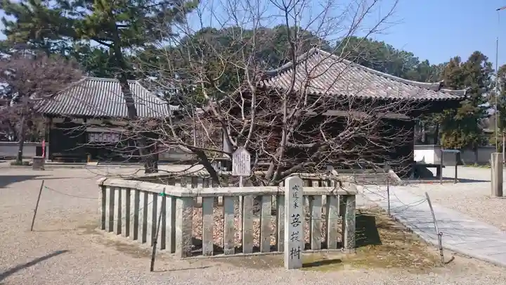 鶴林寺のその他建物