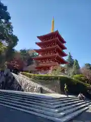 高幡不動尊　金剛寺(東京都)