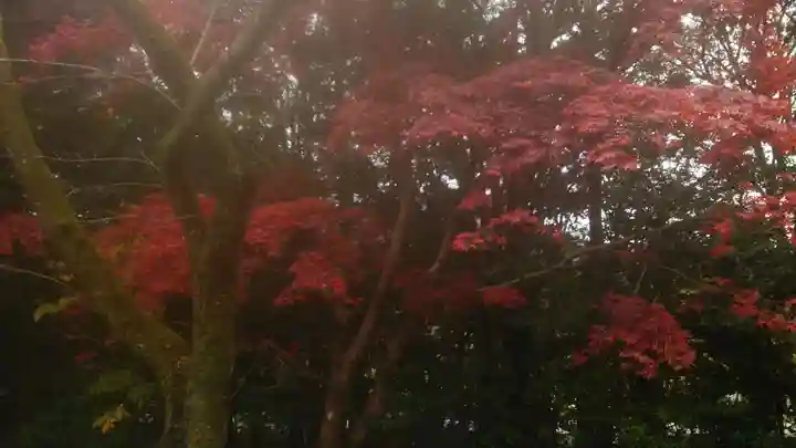 伊勢神宮内宮(皇大神宮)(三重県)