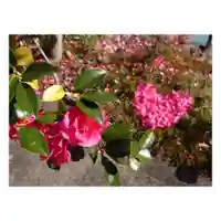 岐阜稲荷山本社(岐阜県)