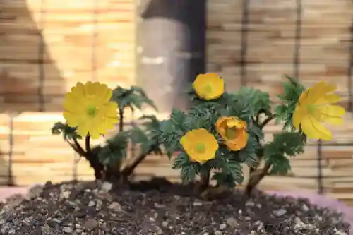 阿邪訶根神社のその他建物