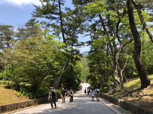 出雲大社(島根県)