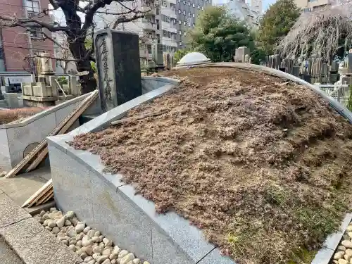 善性寺の{uncategorized: "未分類", other: "その他", undefined: "問題あり", building: "その他建物", grave: "お墓", sacred_gate: "鳥居", guardian: "狛犬", statue: "像", buddha: "仏像", history: "歴史", nature: "自然", garden: "庭園", animal: "動物", pagoda: "塔", temizu: "手水舎", mountain_gate: "山門・神門", sanctuary: "本殿・本堂", subordinate: "末社・摂社", art: "芸術", scenery: "景色", jizo: "地蔵", ema: "絵馬", goshuin: "御朱印", omikuji: "おみくじ", items: "授与品その他", amulet: "お守り", goshuincho: "御朱印帳", eats: "食事", festival: "お祭り", votive_dance: "神楽", shichigosan: "七五三参", wedding: "結婚式", experience: "体験その他", initially: "初詣", around: "周辺", anti_infection: "感染症対策"}