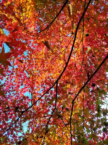 不退寺(奈良県)