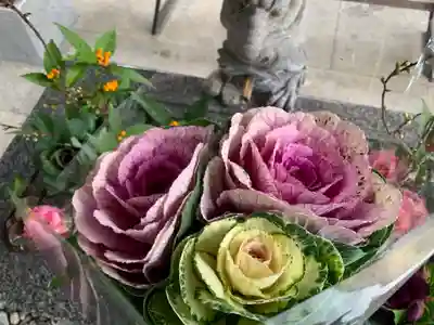 滑川神社 - 仕事と子どもの守り神の手水舎