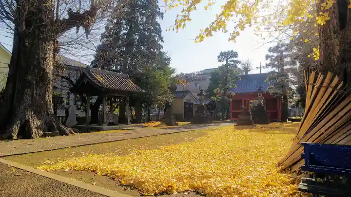諏訪神社の自然