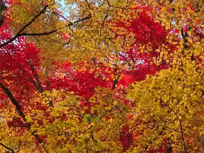 大威徳寺(大阪府)