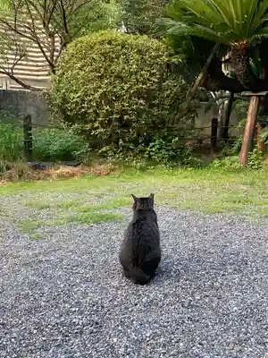 熱田神宮(愛知県)