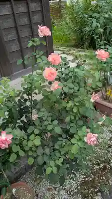 香雪院(京都府)