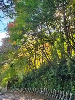 願成寺(福島県)