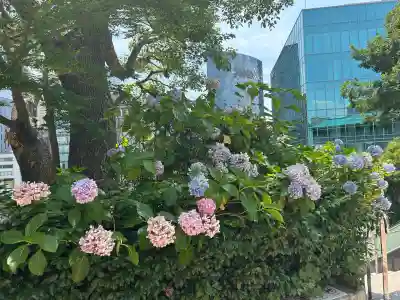 日枝神社(東京都)
