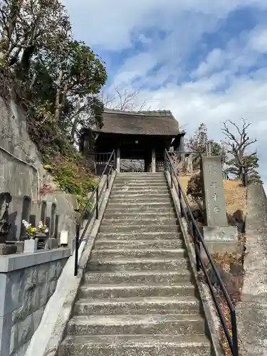 泥牛庵の山門・神門