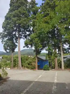 吉田寺(新潟県)