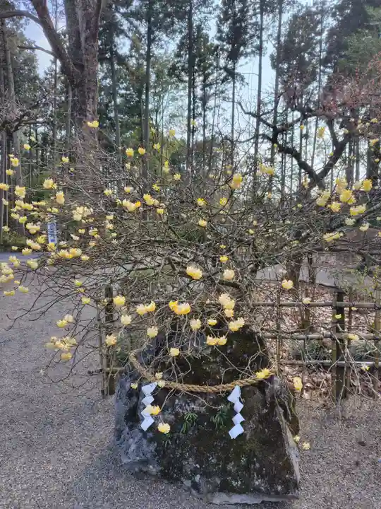 芳賀天満宮(栃木県)