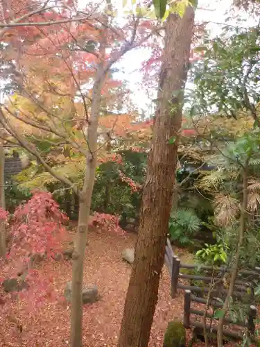東勝寺跡の庭園