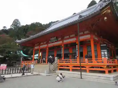 勝尾寺の本殿・本堂