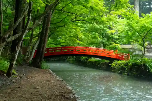 小國神社(静岡県)