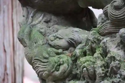 白山比咩神社の狛犬