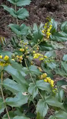 興聖寺(京都府)