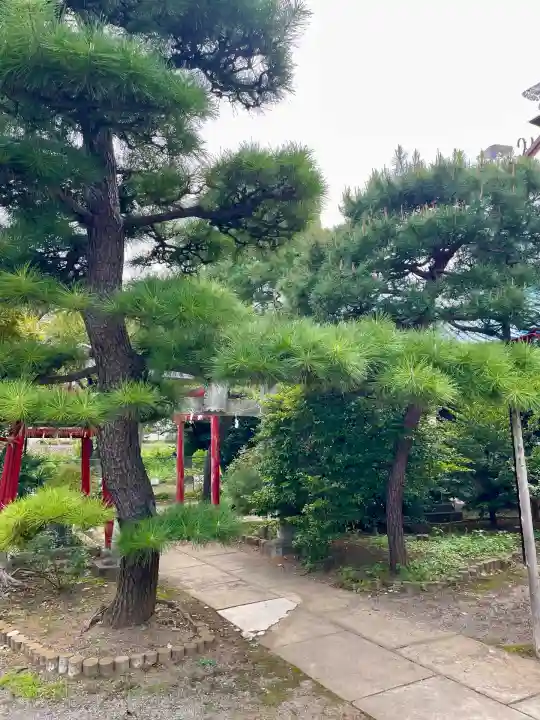 中田出世稲荷神社(東京都)