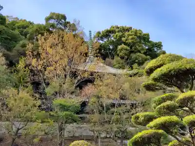 祥福寺のその他建物