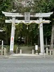 鴨都波神社の鳥居