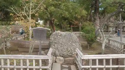 鶴岡八幡宮の自然