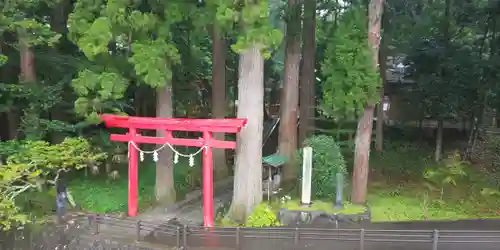 須山浅間神社の鳥居