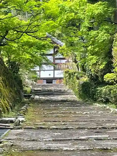 正伝護国禅寺(正伝寺･正傳寺)(京都府)