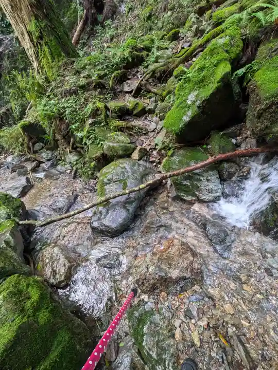 加蘇山神社 奥ノ宮の自然