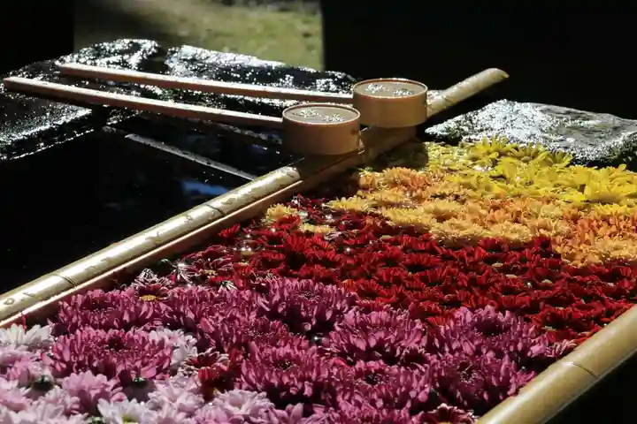 土津神社|こどもと出世の神さまの手水舎