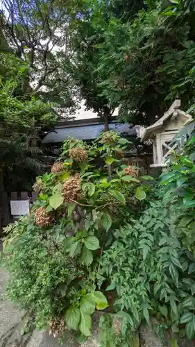 京都大神宮(京都府)